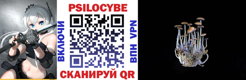 мега сайт Красновишерск Псилоцибиновые грибы Psilocybine cubensis